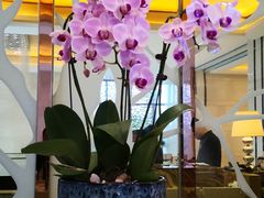 -River Café 海鲜自助(重庆丽笙世嘉酒店)