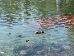 -水磨沟公园