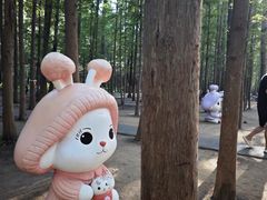 -日照海滨国家森林公园