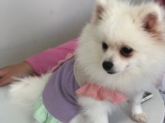 -怪兽屋·羊驼·猫咖·狗咖(俊华广场店)