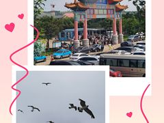 -海驴岛(荣成市)