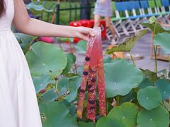 -赵美丽·重庆社区火锅·直营店(火车东站·中豪国际店)