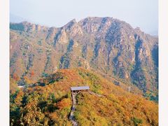 -大岭沟猕猴桃谷风景区