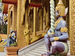 -西双版纳勐泐文化旅游区