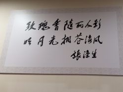 -上海玫瑰医疗美容医院