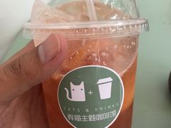 -有猫主题·治愈系猫咖(曾厝垵店)