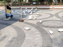 -南宫五洲植物乐园