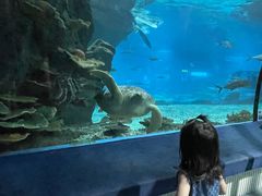 -福州罗源湾海洋世界旅游区