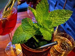 -THE BARMAN HOUSE(调酒师南门店)