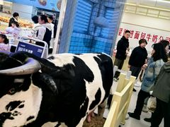 -红星前进面包牛奶公司(君太店)