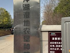 -洋湖国家湿地公园