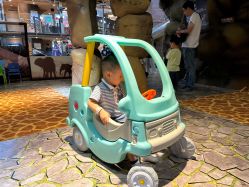 -卡通尼·Safari非洲探索乐园·生日会(金桥国际商业广场店)