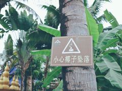 -曼丢傣家古寨