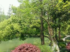 -杭州花家山庄