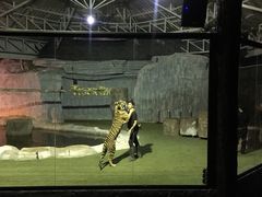 -清迈夜间动物园