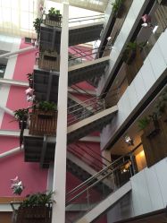 -知爱母婴专护全套房月子会所(新华路店)