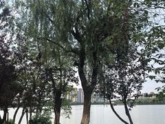 -艾溪湖湿地公园