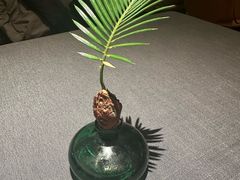 -南里山房(虹桥天地店)
