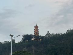 -南沙蒲洲花园