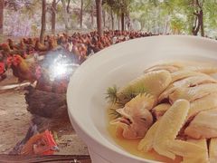 招牌水晶鸡-和记小菜(名品店)