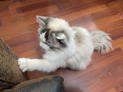 -辛德瑞拉摄影工作室(大润发店)