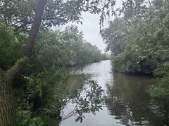 -日照海滨国家森林公园