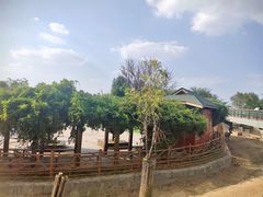 -临沂动植物园