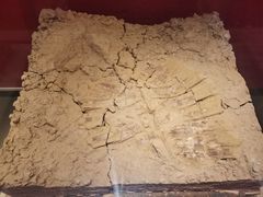 -南越王博物院(王宫展区)