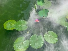 -濮园 · 四合院餐厅