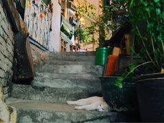 -懒鱼时光馆(沙坪坝店)