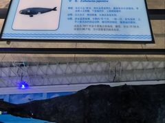 -大连自然博物馆