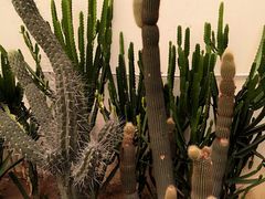 -石家庄市植物园