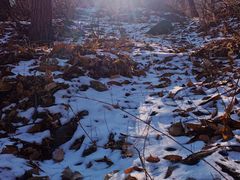 -阳台山自然风景区