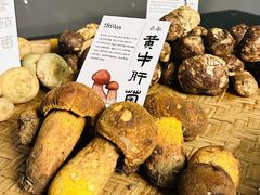 -滇野云南野生菌餐厅(陕西南路店)