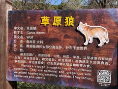 -沈阳森林动物园