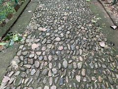 -四门塔风景区