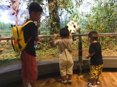 -陕西自然博物馆