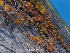 -相门城墙文化休闲景区