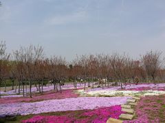 -南通洲际绿博园