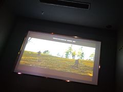 -番茄按摩·影院足道·柔足SPA