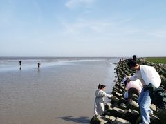 -南汇嘴观海公园