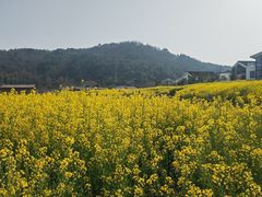 -南北湖风景区