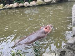 -宁波野生动物园