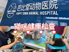 -芭比堂动物医院·CT·微创中心(新顺分院)