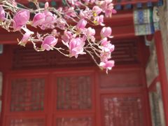 -宣南文化博物馆