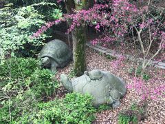 -韩湘水博园