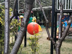 -MICC蒙世学堂幼儿园(灵山校区)