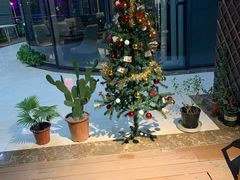 -Primo·丽莫意大利窑烤披萨