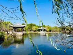 -无锡蠡湖国家湿地公园-蠡园