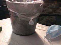 -巴厘龙虾·榜首油焖大虾(洞庭·艺术洋房店)